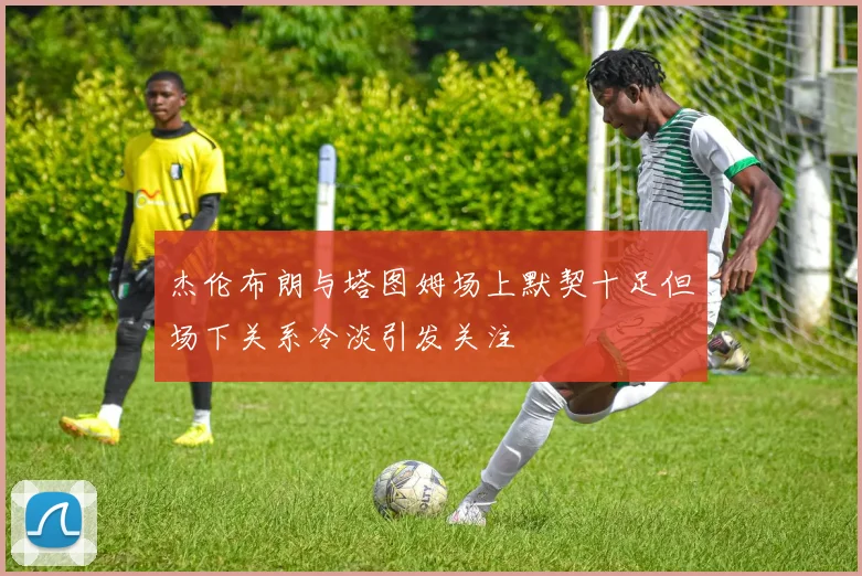 杰伦布朗与塔图姆场上默契十足但场下关系冷淡引发关注
